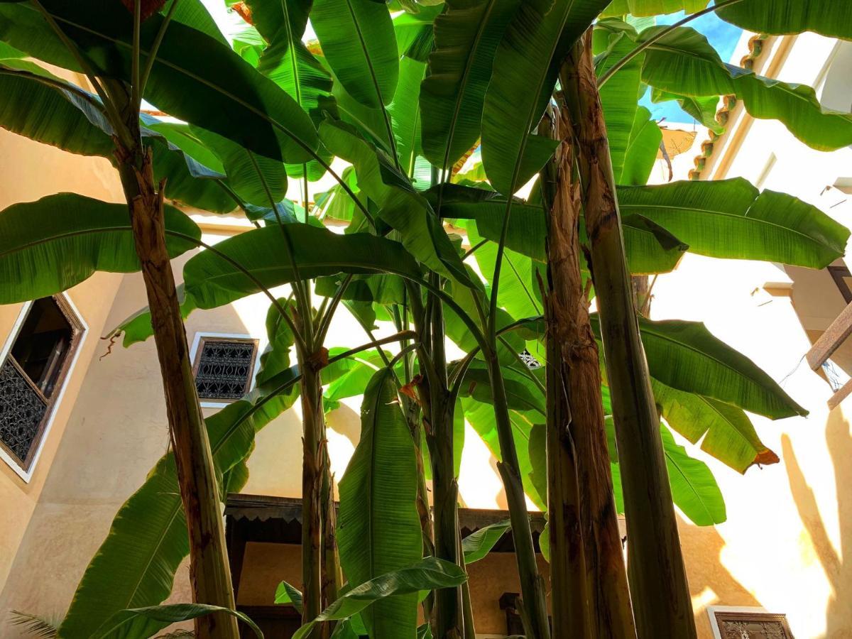מרקש Riad Bamileke מראה חיצוני תמונה