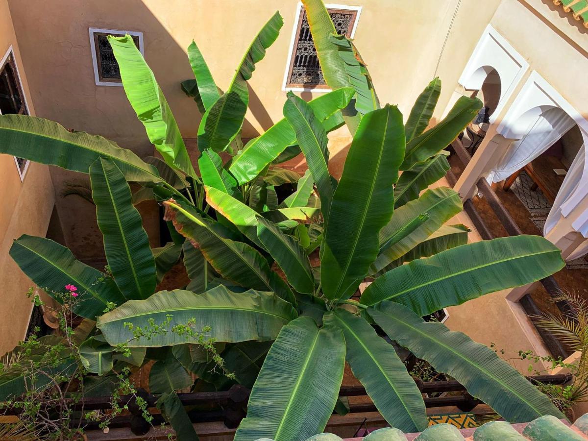 מרקש Riad Bamileke מראה חיצוני תמונה