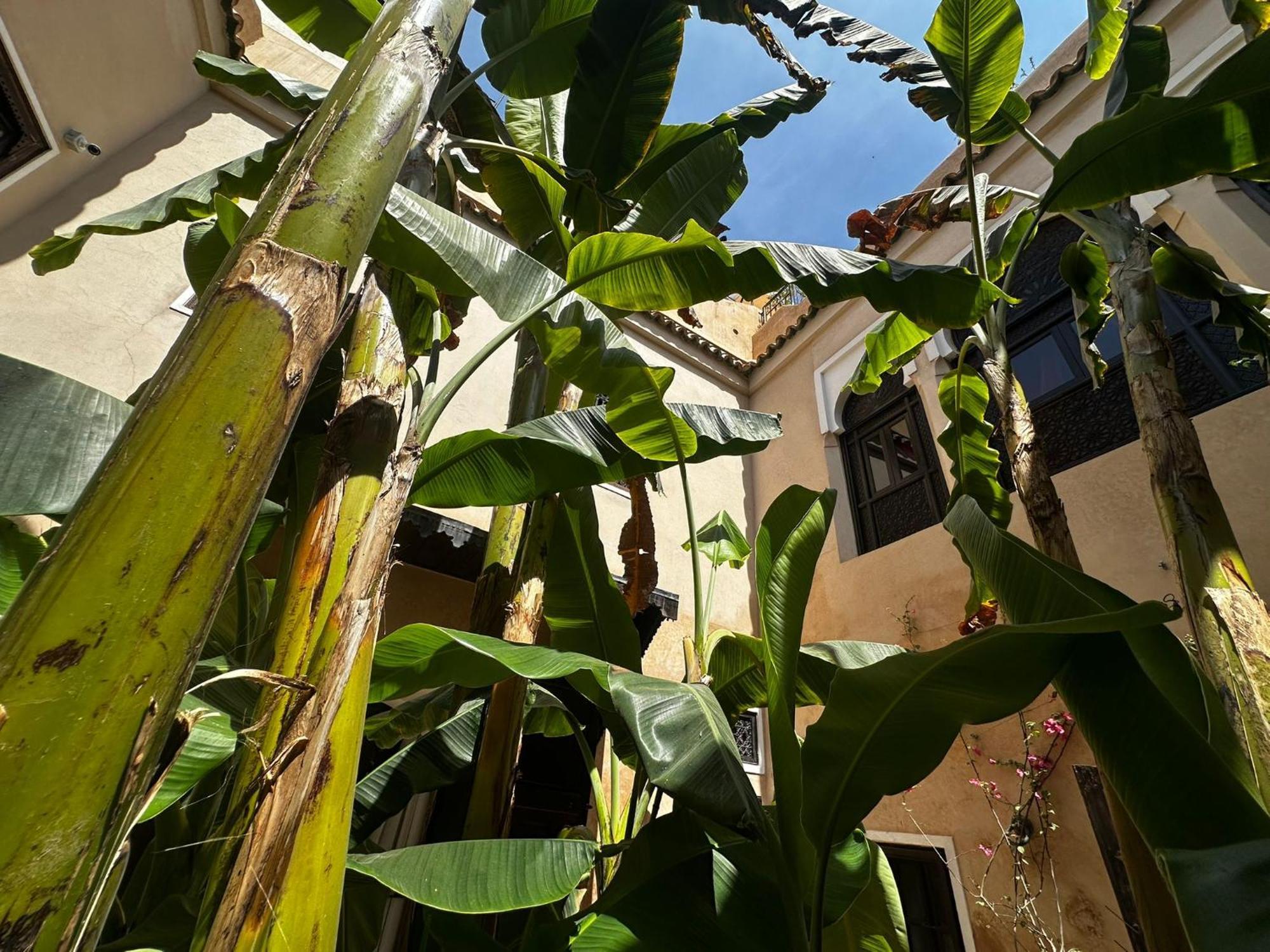 מרקש Riad Bamileke מראה חיצוני תמונה